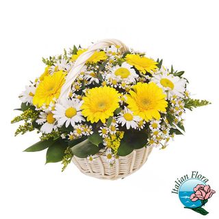 Composizione in cesto di gerbere e margherite gialle e bianche