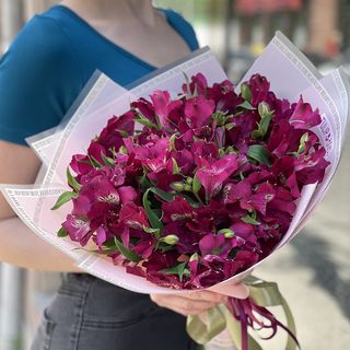  ალსტრომერია 2268