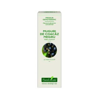 Extract concentrat din muguri de coacaz negru (RIBES NIGRUM)