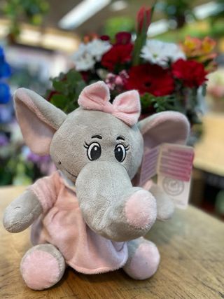 Elephant Teddy Rosa (M)