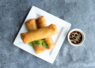 9.Rollitos Vegetales