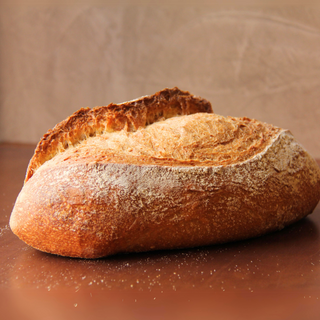 Batard Tritordeum 500 Gr