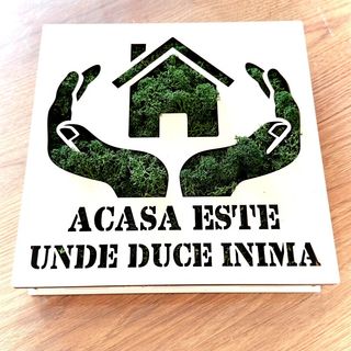 Tablou 'acasa este unde duce inima' cu licheni stabilizati