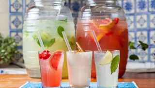 Agua Fresca Mexicana (1 Lt.)