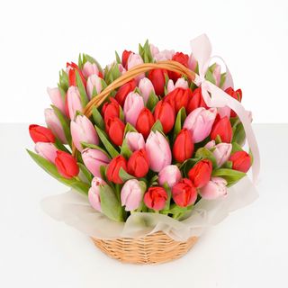 Композиція"Omens"