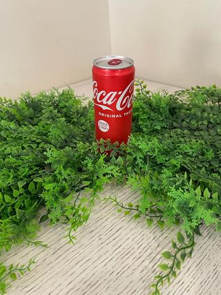 Coca-Cola in lattina 33 cl
