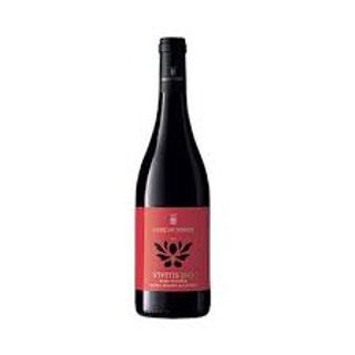 VIVITIS VINO BIO ROSSO IGP C75