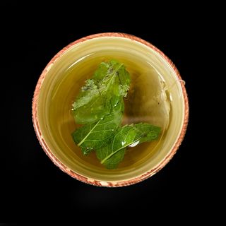 Té Verde Con Menta Fresca