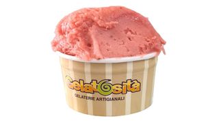 Gelato alla fragola senza lattosio - vegan 250gr