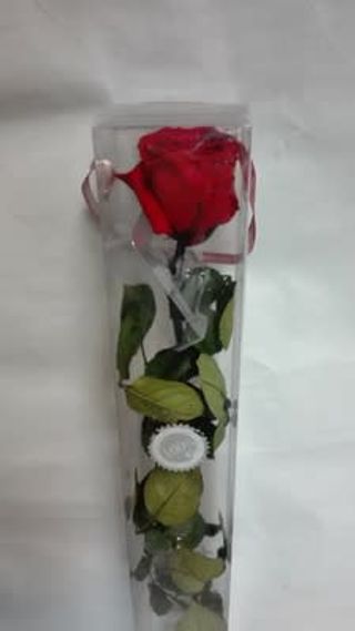 Rosa Vermella Preservada Gran