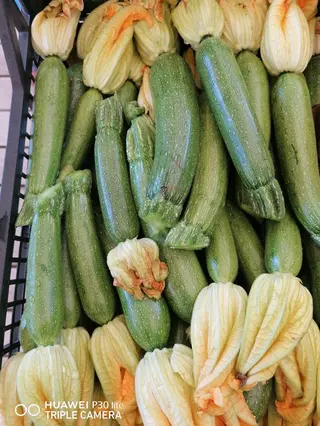 Zucchina con il fiore 