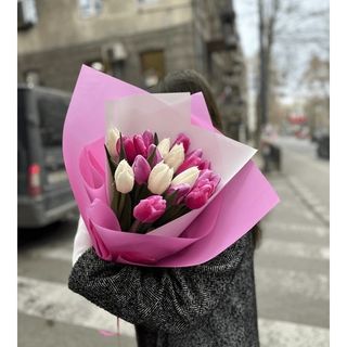 ტიტები ( 20 ცალი ) 