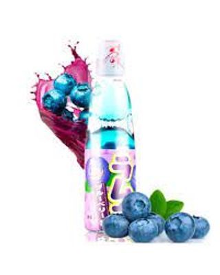 134. Ramune Arandano (200 Ml.)