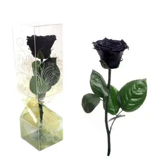 Rosa Eterna Negra Tallo corto