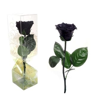 Rosa Eterna Negra Tallo corto