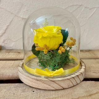 Cupulita con rosa eterna amarilla