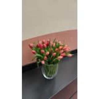 40 lala u staklenoj vazni 