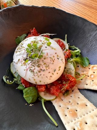 Burrata Trufada Con Tapenade De Tomate & Albahaca