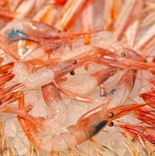 Gambero Gobetto mediterraneo 1 pezzo