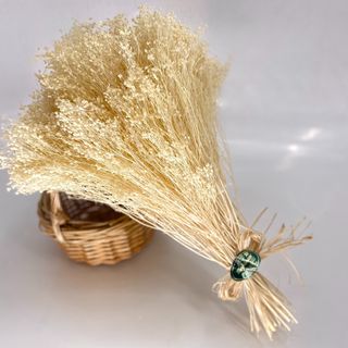 Broom Bloom Cor Natural