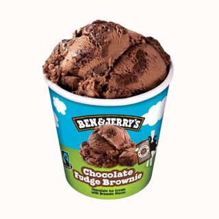 B&J's Chocolate Fudge Brownie