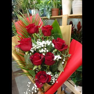 Buket sa sedam ruža