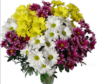 Ramo de margaritas