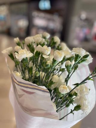 15szt - białe goździki