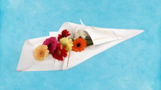 ფერადი (მინი) გერბერების თაიგული