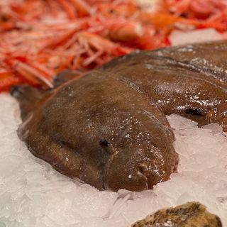 Lenguado (200gr-250gr)