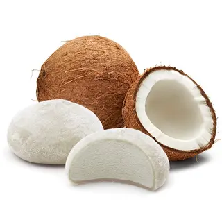 Mochis Coco (4 Uds.)