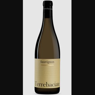 Sauvignon Terrebaciate