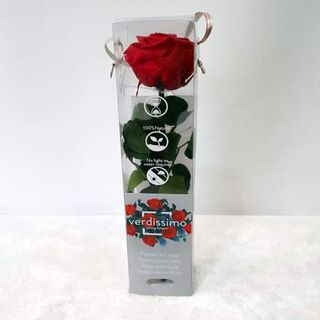 Rosa roja preservada corta