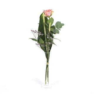 Oli. Rosa Natural Rosa