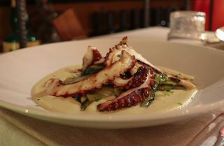 Polpo alla griglia su purea di fave e cicoria