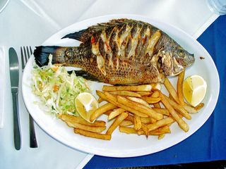 King Size Fish with Chips