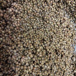 Llenties caviar (250 grs)