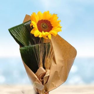  Sole d'Estate  Girasole extra