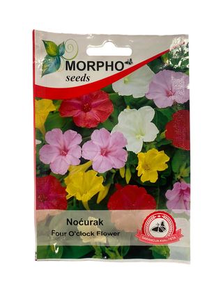Sjeme cvijeća Nočurak