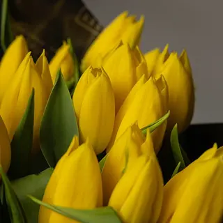 Ramo de 10 tulipanes amarillos