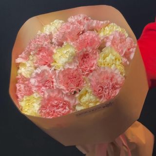 Bukiet 21 goździków: pastelowy mix