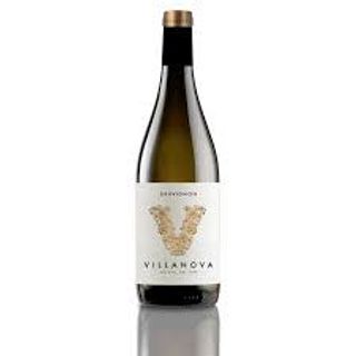 Sauvignon Doc Collio - Tenuta Villanova  2020 12,5% Vol