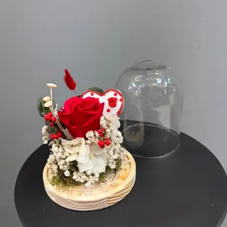 Centro de una rosa roja preservada