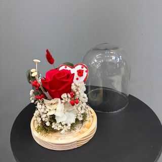 Centro de una rosa roja preservada