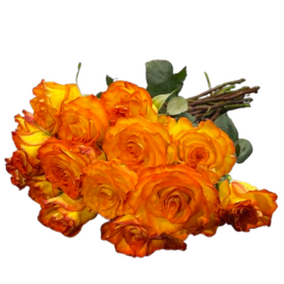 5 herbacianych róż  ( długość 50-60 cm )