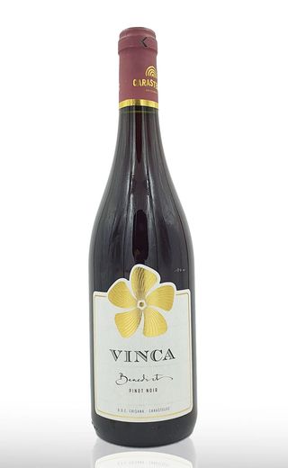 Vinca Benedict Crama Carastelec