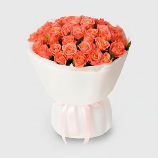 51 коралова троянда