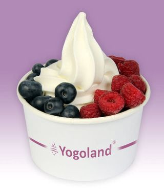 Jogurt mrożony z dodatkami świeżych sezonowych owoców 300g