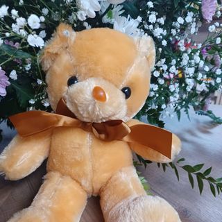 N° 20 Orsetto   25 cm