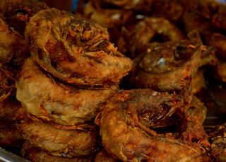 Big Panla / hake fish 